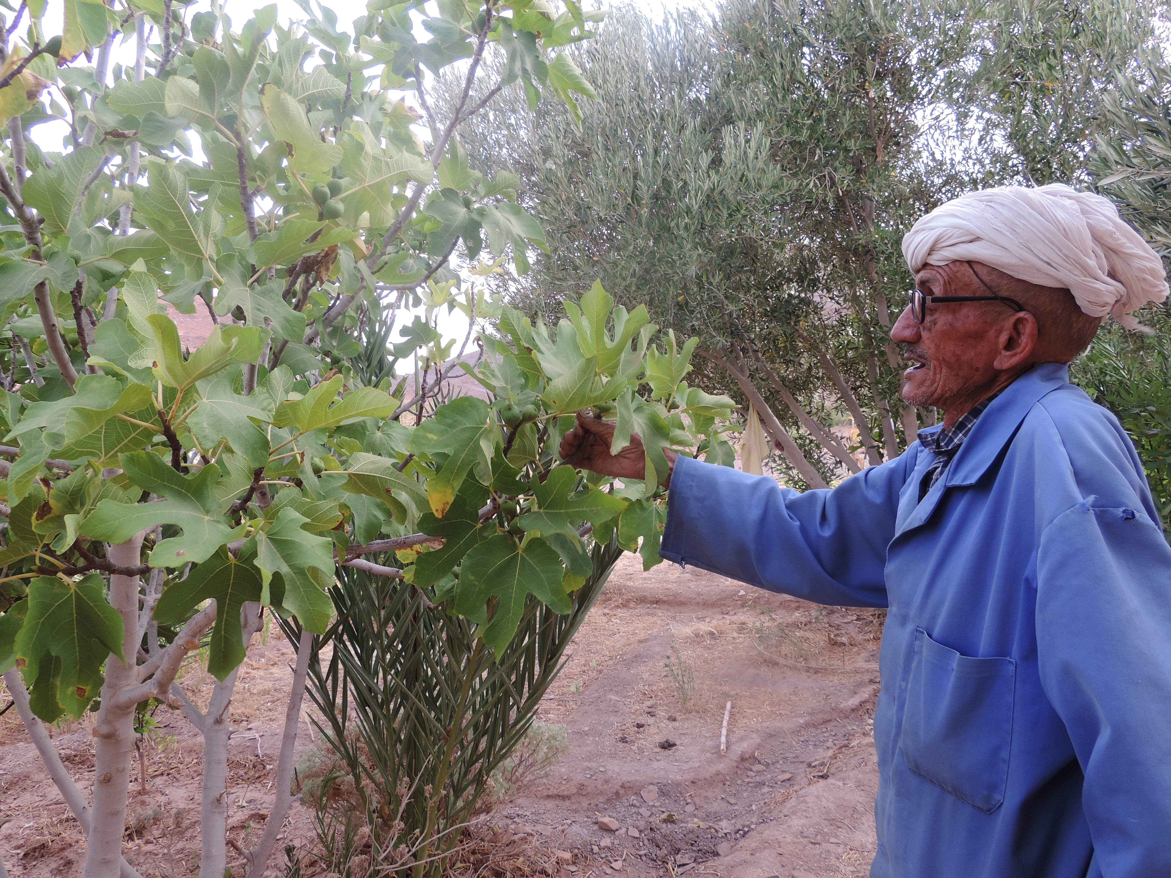 Sustainable Farming Practices